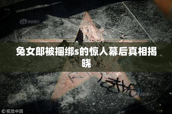 兔女郎被捆绑s的惊人幕后真相揭晓