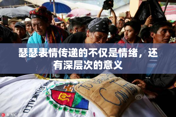 瑟瑟表情传递的不仅是情绪，还有深层次的意义