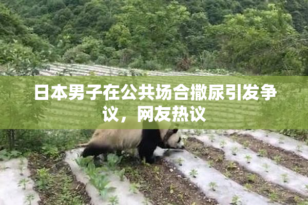 日本男子在公共场合撒尿引发争议，网友热议