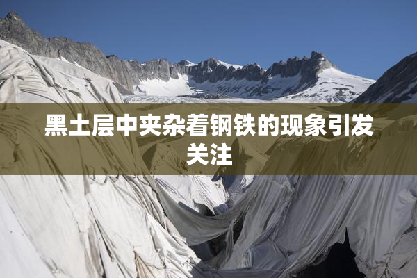 黑土层中夹杂着钢铁的现象引发关注