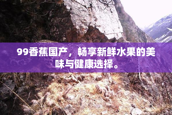 99香蕉国产，畅享新鲜水果的美味与健康选择。