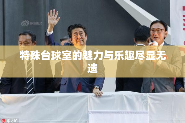 特殊台球室的魅力与乐趣尽显无遗