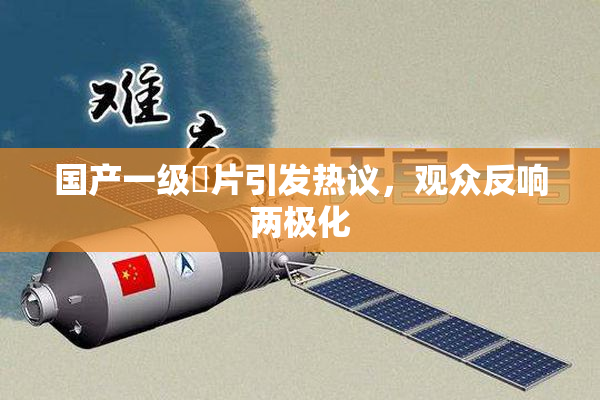 国产一级婬片引发热议，观众反响两极化