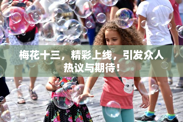 梅花十三，精彩上线，引发众人热议与期待！