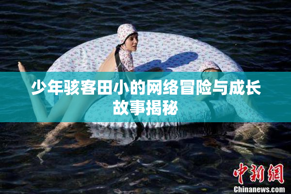 少年骇客田小的网络冒险与成长故事揭秘