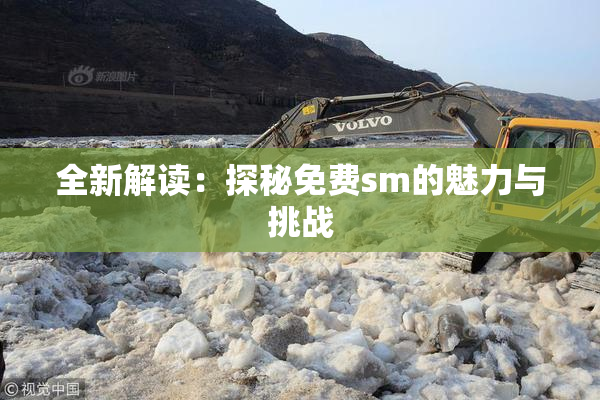 全新解读：探秘免费sm的魅力与挑战