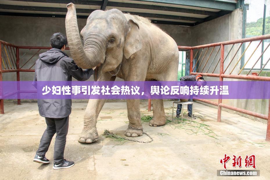少妇性事引发社会热议，舆论反响持续升温