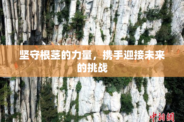 坚守根茎的力量，携手迎接未来的挑战
