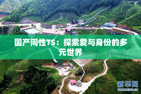 国产同性TS：探索爱与身份的多元世界