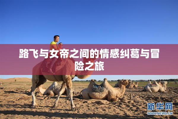 路飞与女帝之间的情感纠葛与冒险之旅
