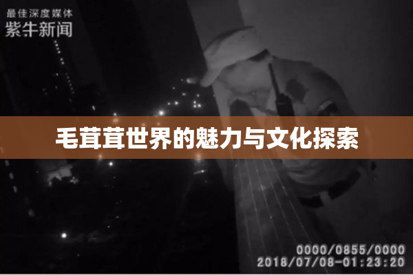 毛茸茸世界的魅力与文化探索