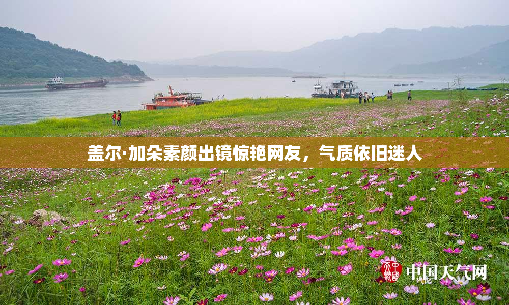 盖尔·加朵素颜出镜惊艳网友，气质依旧迷人