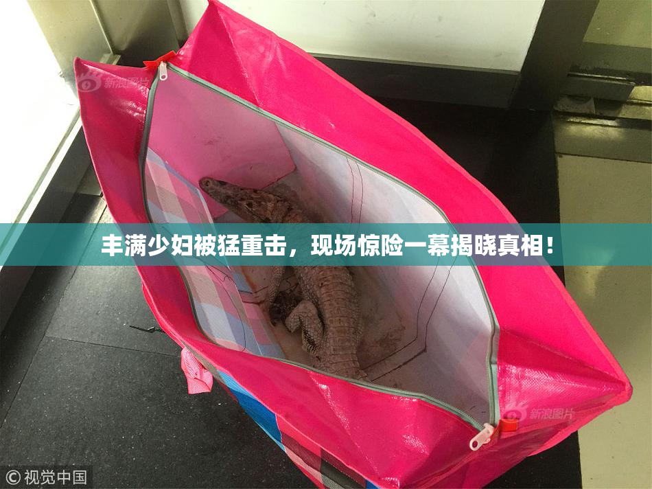 丰满少妇被猛重击，现场惊险一幕揭晓真相！