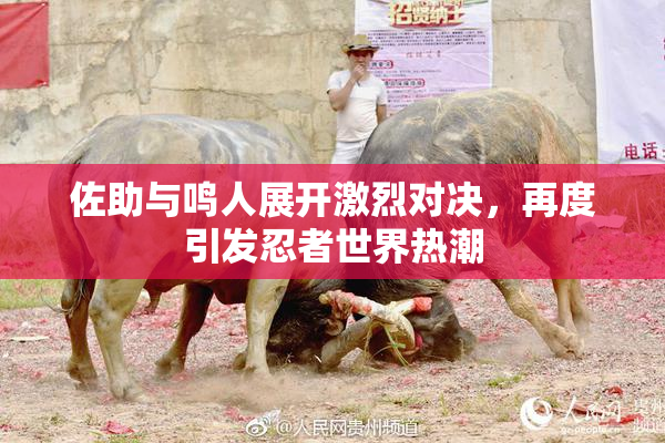 佐助与鸣人展开激烈对决，再度引发忍者世界热潮