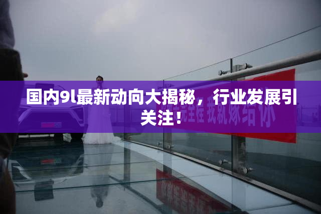 国内9l最新动向大揭秘，行业发展引关注！