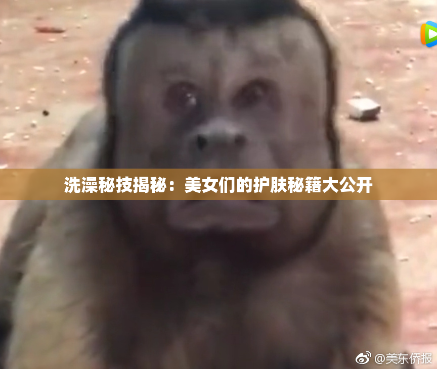 洗澡秘技揭秘：美女们的护肤秘籍大公开