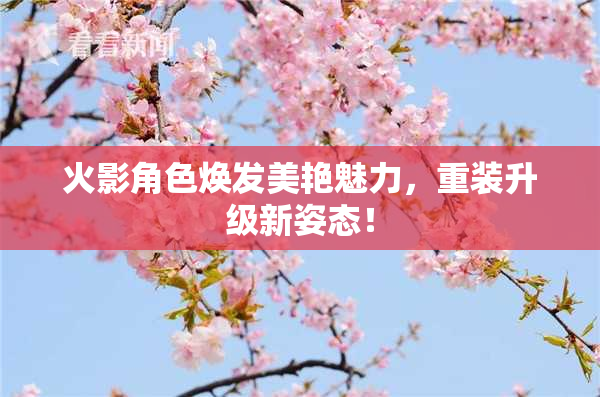 火影角色焕发美艳魅力，重装升级新姿态！