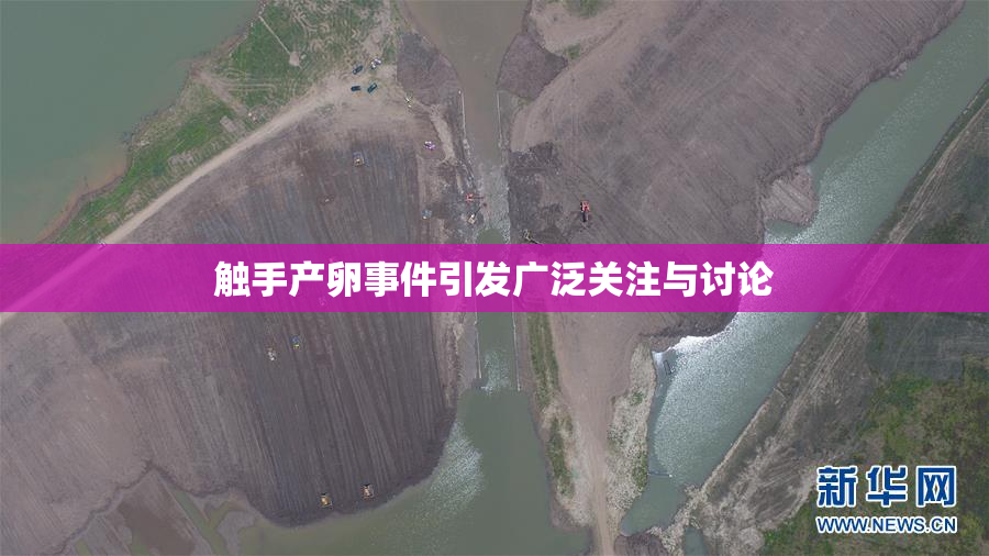触手产卵事件引发广泛关注与讨论