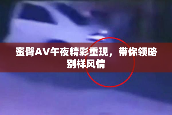 蜜臀AV午夜精彩重现，带你领略别样风情