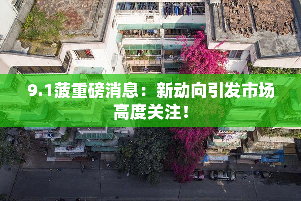 9.1菠重磅消息：新动向引发市场高度关注！