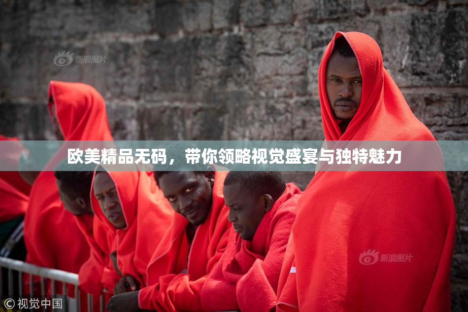 欧美精品无码，带你领略视觉盛宴与独特魅力