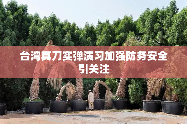 台湾真刀实弹演习加强防务安全引关注