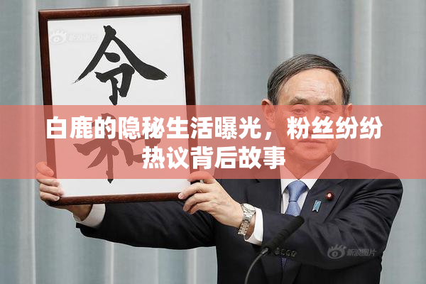 白鹿的隐秘生活曝光，粉丝纷纷热议背后故事