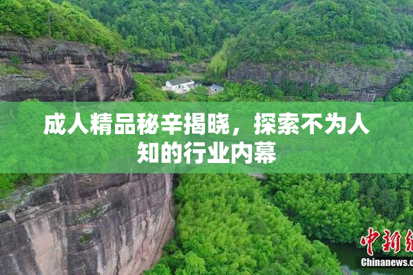 成人精品秘辛揭晓，探索不为人知的行业内幕