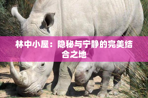林中小屋：隐秘与宁静的完美结合之地