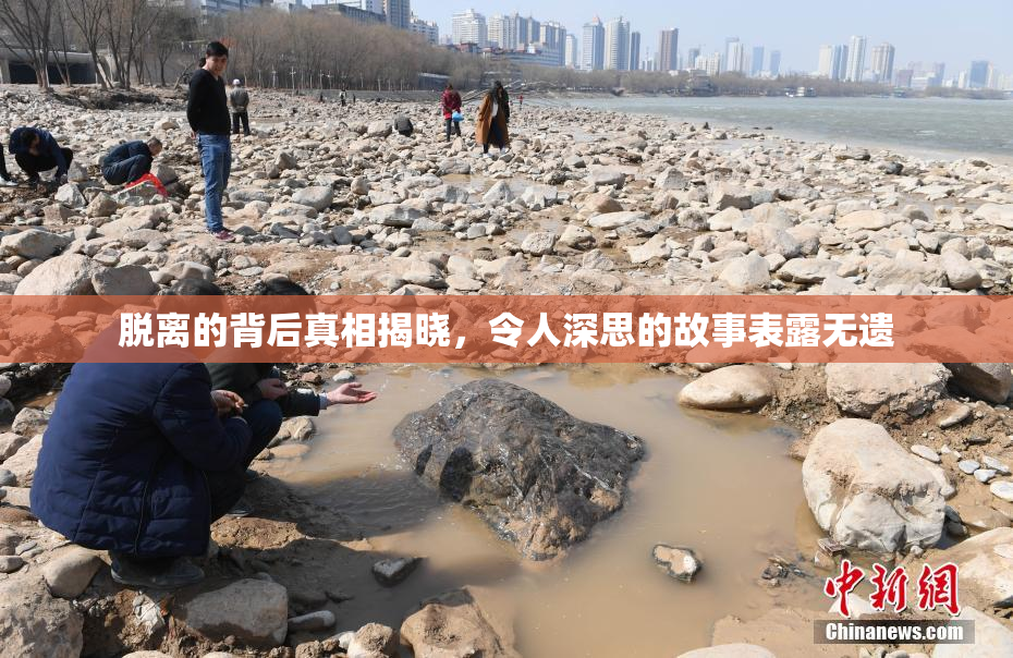 脱离的背后真相揭晓，令人深思的故事表露无遗