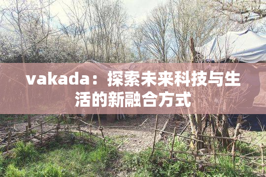 vakada：探索未来科技与生活的新融合方式