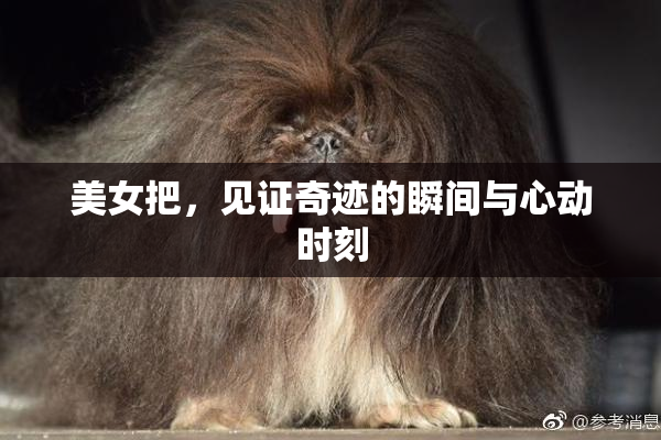 美女把，见证奇迹的瞬间与心动时刻