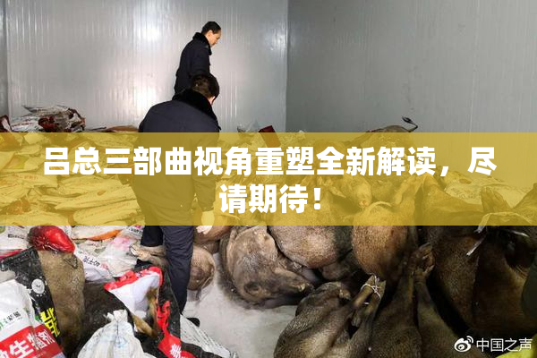 吕总三部曲视角重塑全新解读，尽请期待！