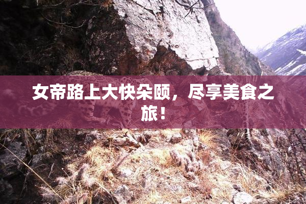 女帝路上大快朵颐，尽享美食之旅！