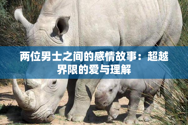 两位男士之间的感情故事：超越界限的爱与理解