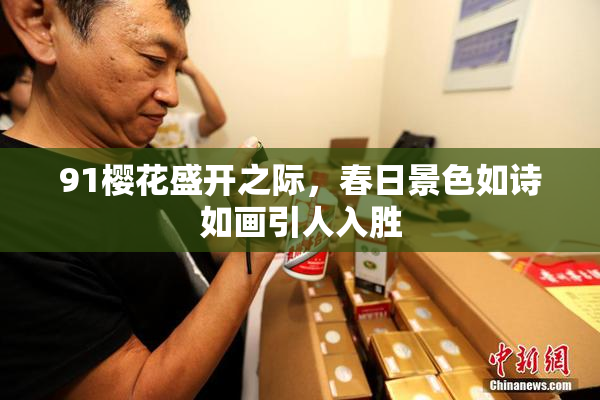 91樱花盛开之际，春日景色如诗如画引人入胜