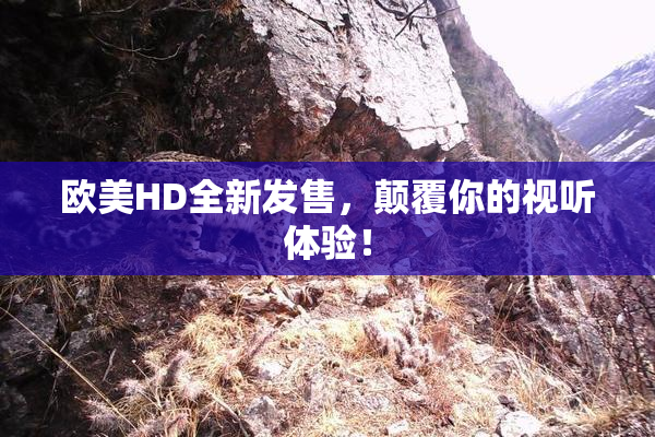 欧美HD全新发售，颠覆你的视听体验！