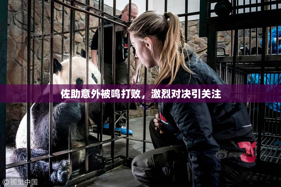 佐助意外被鸣打败，激烈对决引关注