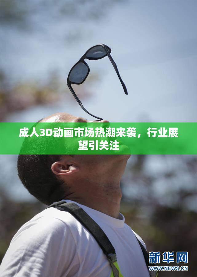 成人3D动画市场热潮来袭，行业展望引关注