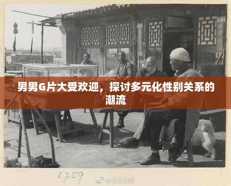 男男G片大受欢迎，探讨多元化性别关系的潮流