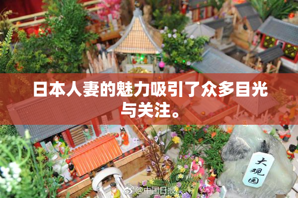 日本人妻的魅力吸引了众多目光与关注。