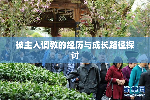 被主人调教的经历与成长路径探讨