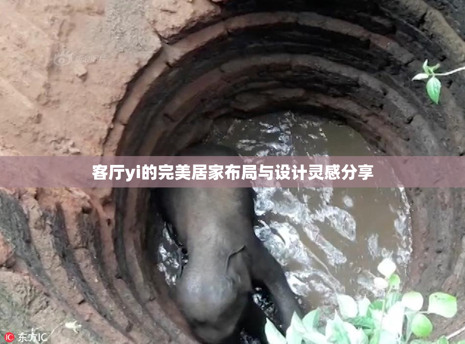 客厅yi的完美居家布局与设计灵感分享