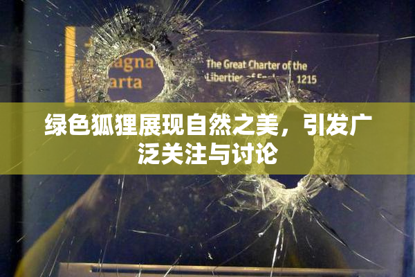 绿色狐狸展现自然之美，引发广泛关注与讨论