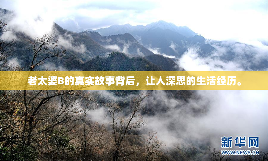 老太婆B的真实故事背后，让人深思的生活经历。