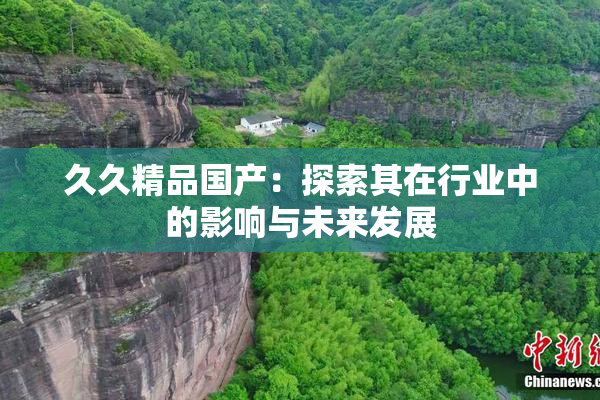 久久精品国产：探索其在行业中的影响与未来发展