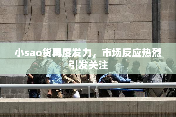 小sao货再度发力，市场反应热烈引发关注