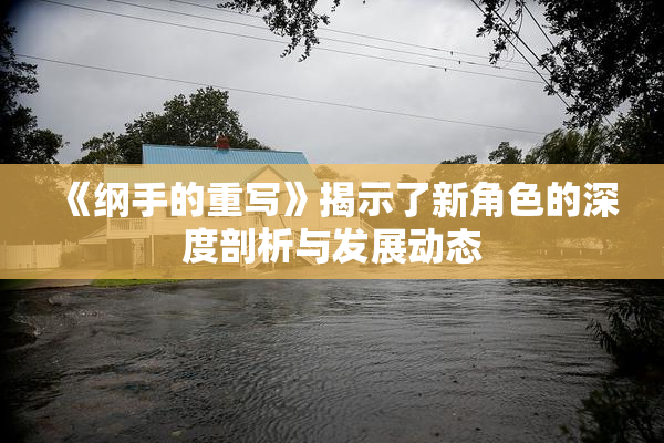 《纲手的重写》揭示了新角色的深度剖析与发展动态