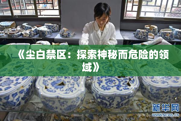 《尘白禁区：探索神秘而危险的领域》