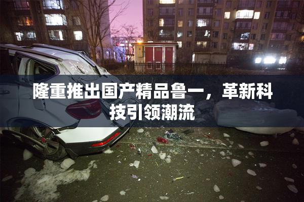 隆重推出国产精品鲁一，革新科技引领潮流